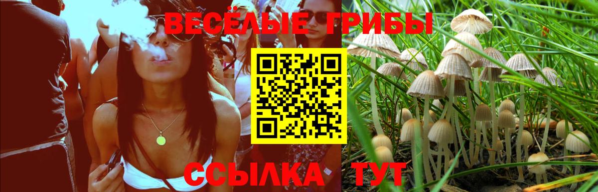 Галлюциногенные грибы Cubensis  Вход с VPN  Юрга 